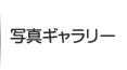 写真ギャラリー