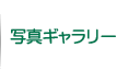 写真ギャラリー